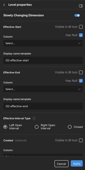 The Slowly Changing Dimension section of the Level properties panel.