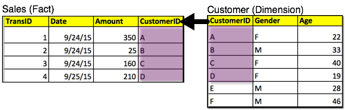 The Sales fact dataset joined to the Customer dimension, highlighting the dimension members with corresponding fact rows.